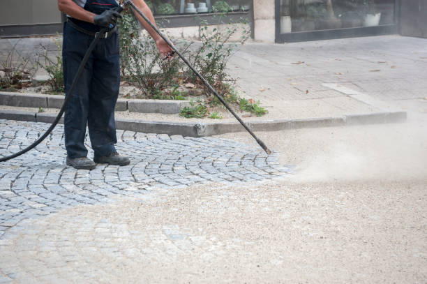 Best Fence Cleaning and Maintenance in North Hornell, NY